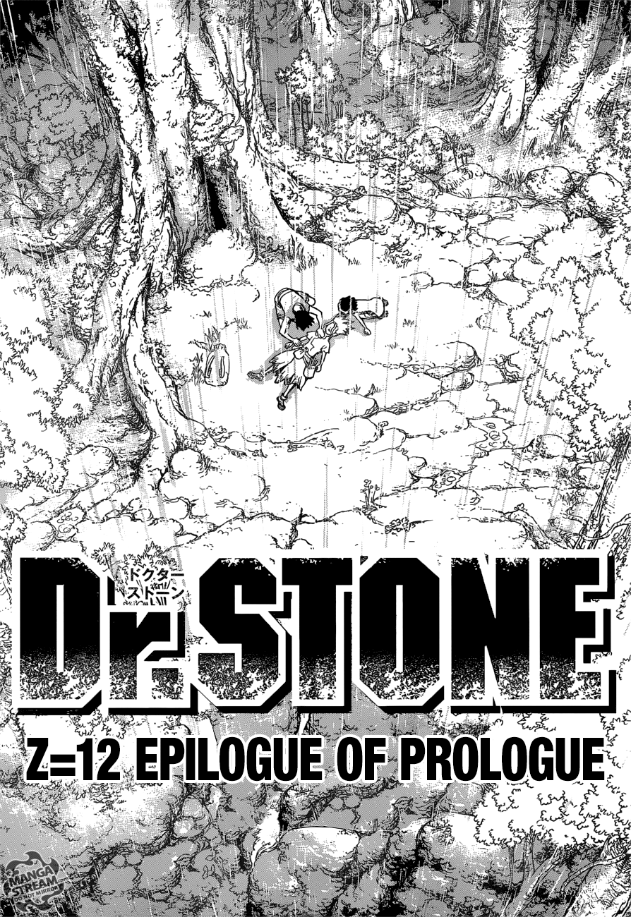 Dr. Stone Chapter 12 17